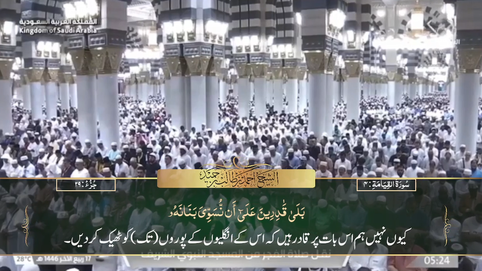 20th Oct 2024 - Madeenah Fajr - Sheikh Hameed - Urdu Translation